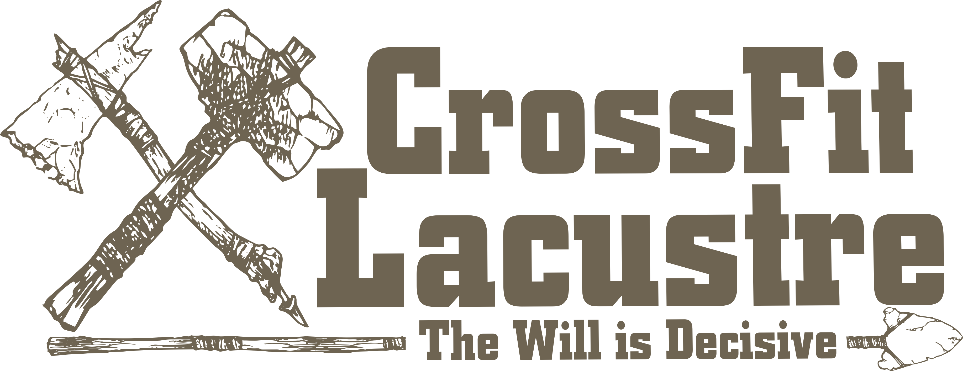 CrossFit Lacustre